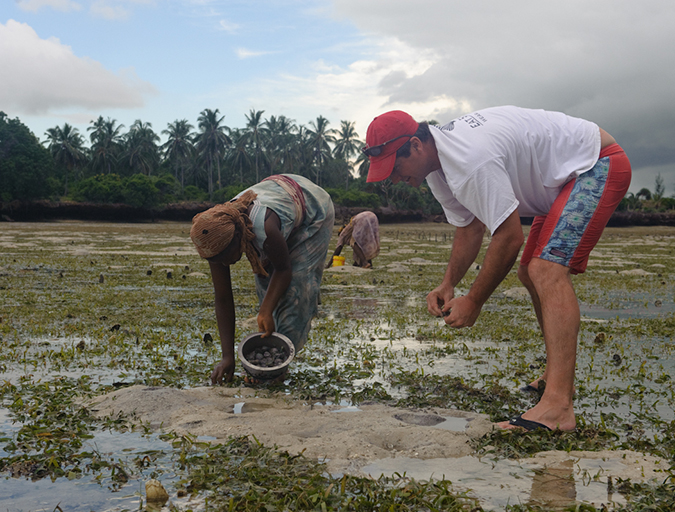 Article image for Social oysters: Aquaculture inspiring communities