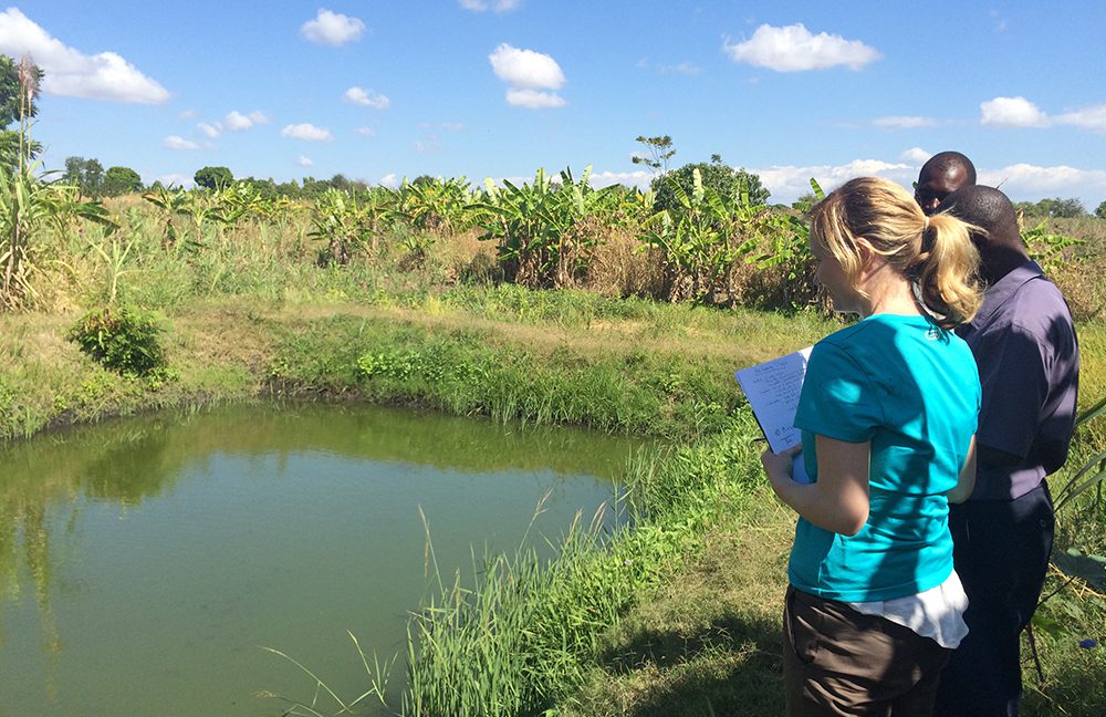 Images: Small-scale aquaculture emerging in Africa - Responsible Seafood  Advocate