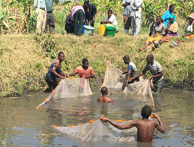 Article image for Images: Small-scale aquaculture emerging in Africa