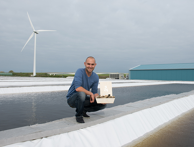 Article image for Dutch shellfish farmers bringing the sea onto land