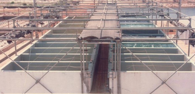 A typical shaded outdoor tank reactor phycosphere, always susceptible to eolian dust. Photo by Dr. M.R. Kitto.