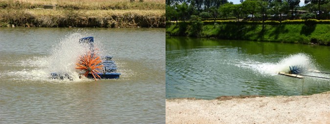 Turning on paddlewheel aerators during the peak hours of photosynthesis causes loss of oxygen from DO-supersaturated surface waters. However, paddlewheels are effective for mixing pond water and promoting the increase of oxygen in bottom waters. Photos by Fernando Kubitza.