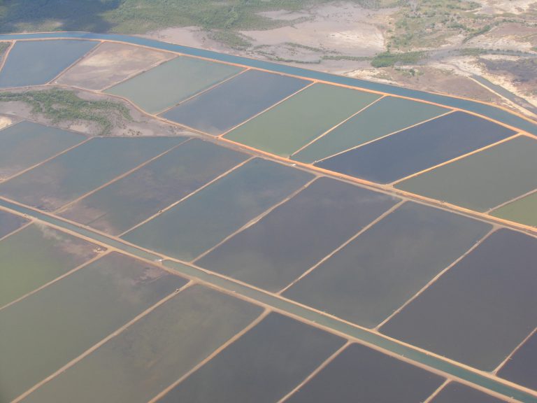 Article image for Thoughts on improving responsible aquaculture intervention efforts