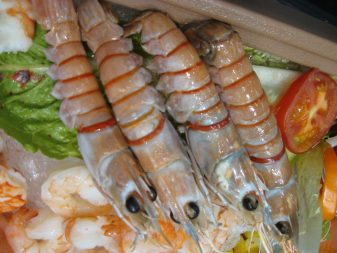 wild-caught seafood