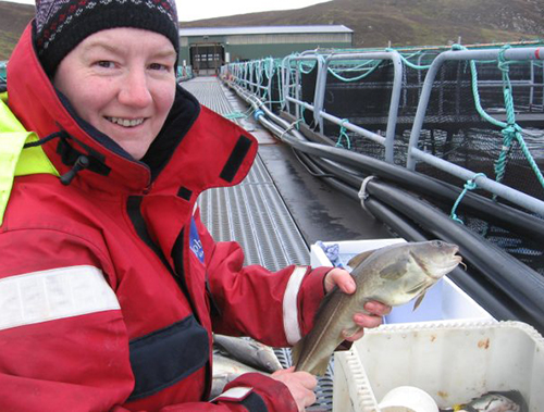 Article image for Aquaculture Exchange: Dawn Purchase, part 2