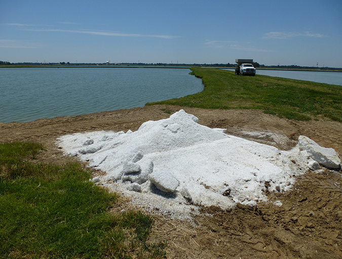 Article image for Common salt a useful tool in aquaculture, part 2