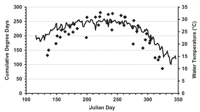 Fig. 1: Mean water temperature (___) and cumulative degree days () for tilapia fry production trials ending on the indicated Julian day. In each of 26 trials/species, Nile tilapia (Oreochromis niloticus) or blue tilapia (O. aureus) broodfish were stocked into 0.01-ha earthen ponds and all broodfish and fry were harvested by draining the pond after 13–20 days.