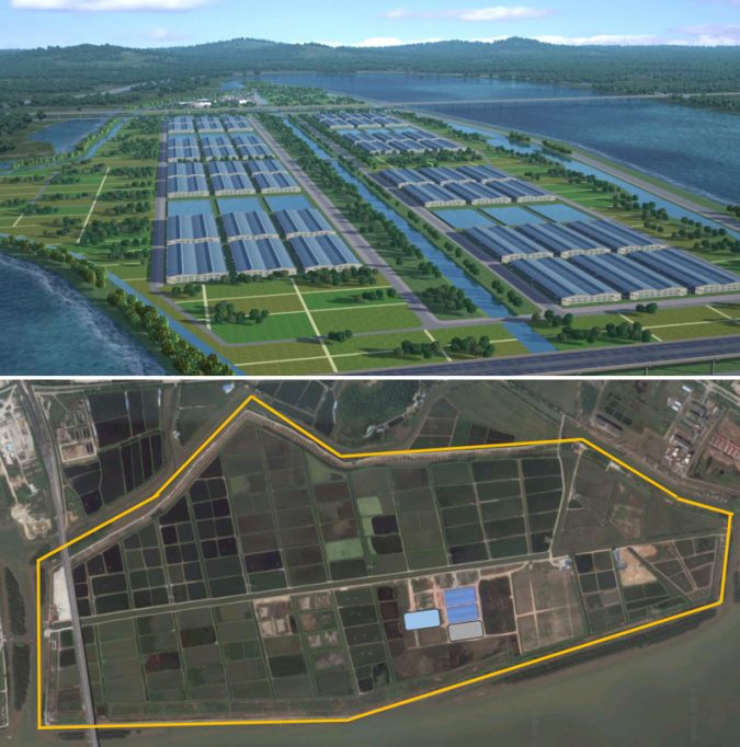 Top: Artist’s rendition of the MegaFarm in Zhongshan, PRC. A total of 36 buildings housing the indoor APRAS technology will be built with integrated aquaponics, vegetable and fruit farming, and a wetland with migratory bird sanctuary towards a holistic and sustainable farming approach. The Chinese Central Government has set a goal for more intensive, yet sustainable farming approaches to offset arable land loss due to rapidly expanding urbanization. Bottom: Google map view of the MegaFarm located in the Guangdong Province north of Macau and across the bay from Hong Kong. Note location of Phase 1 (10,000 MT) with the three building production unit. Each building is 7,500 square meters. A total of 36 buildings are planned by the end of 2024.