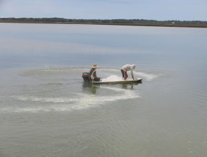 The importance of liming materials in aquaculture