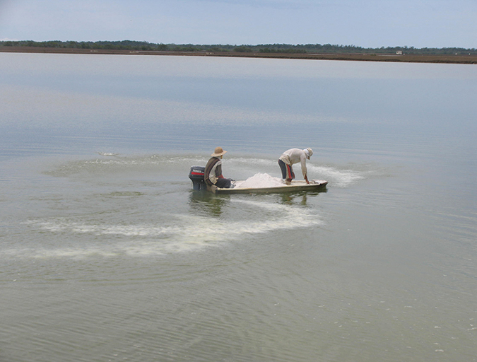 Article image for The importance of liming materials in aquaculture