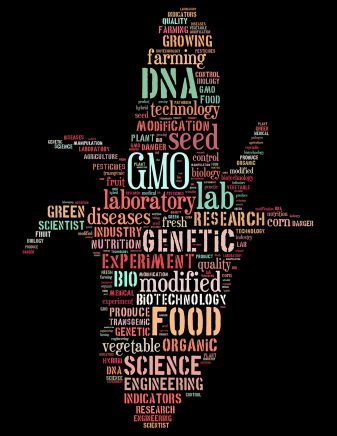 GM foods