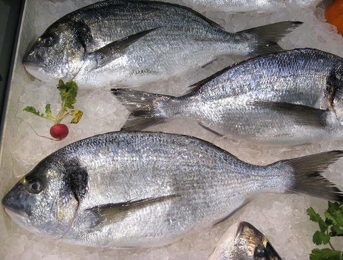 Article image for Con los productos de mar, la salud está definitivamente en el menú