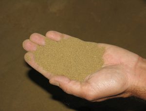 Alimentos para camarón