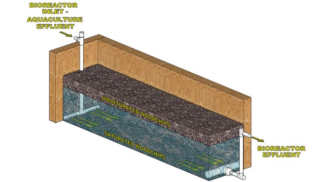A cross section view of pilot bioreactor design. Wastewater is directed into the saturated zone towards the bottom of the trench, flowing horizontally, and providing anoxic conditions required by denitrifying bacteria. Illustration by K. Rishel, The Conservation Fund Freshwater Institute.