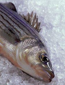 Comparing nutritional values of wild and farmed whitefish