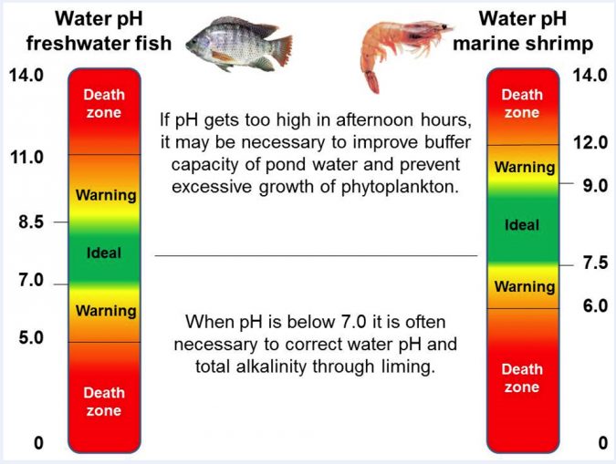 The oft-overlooked water quality parameter: pH - Responsible Seafood  Advocate