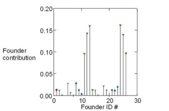 Fig. 2. variation in founder contributions resulting in inbreeding and diversity loss.