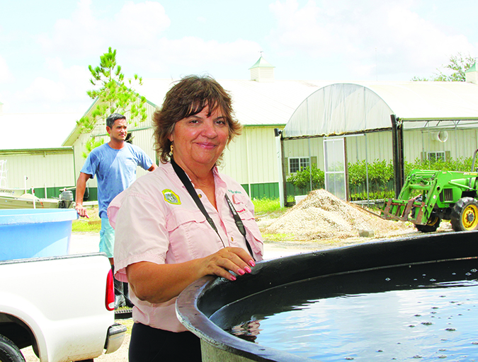 Article image for White House awards hint at aquaculture’s potential in the United States