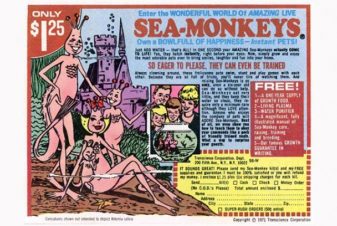 Un anuncio común del cómic para Sea-Monkeys.