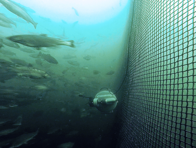 Article image for Rise of the machines: Aquaculture’s robotic revolution