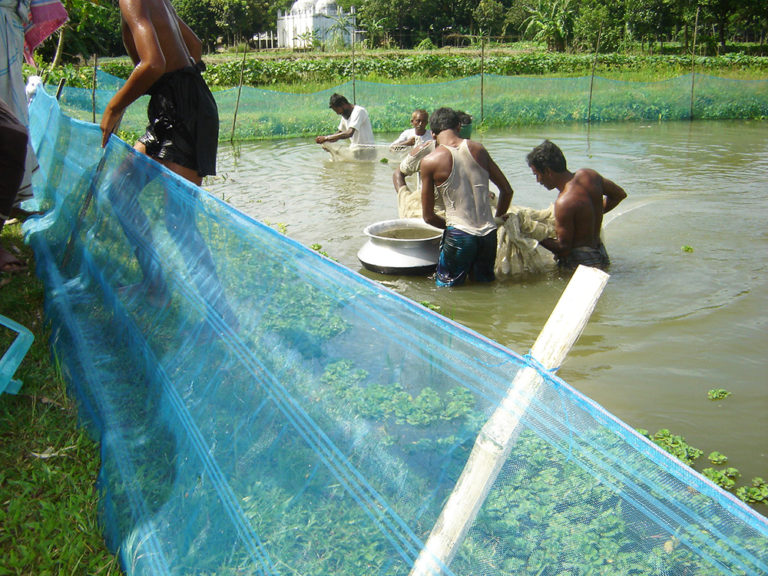 Article image for How will climate change impact seafood production?