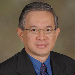 Wing-Keong Ng, Ph.D.