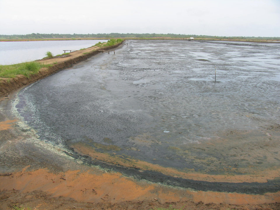 Sediment depth in ponds