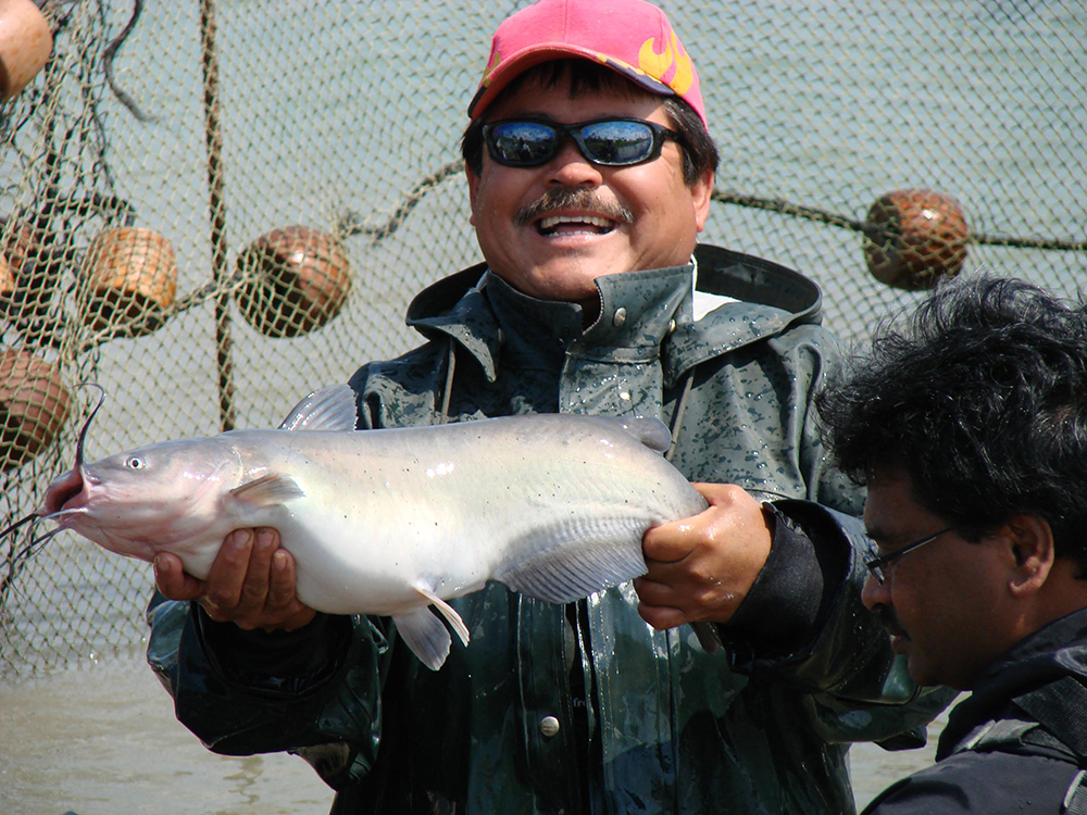 Article image for Near-infrared spectrometers determine stage maturity in channel catfish