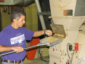 shrimp feed pellet manufacturing