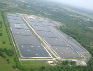 shrimp ponds