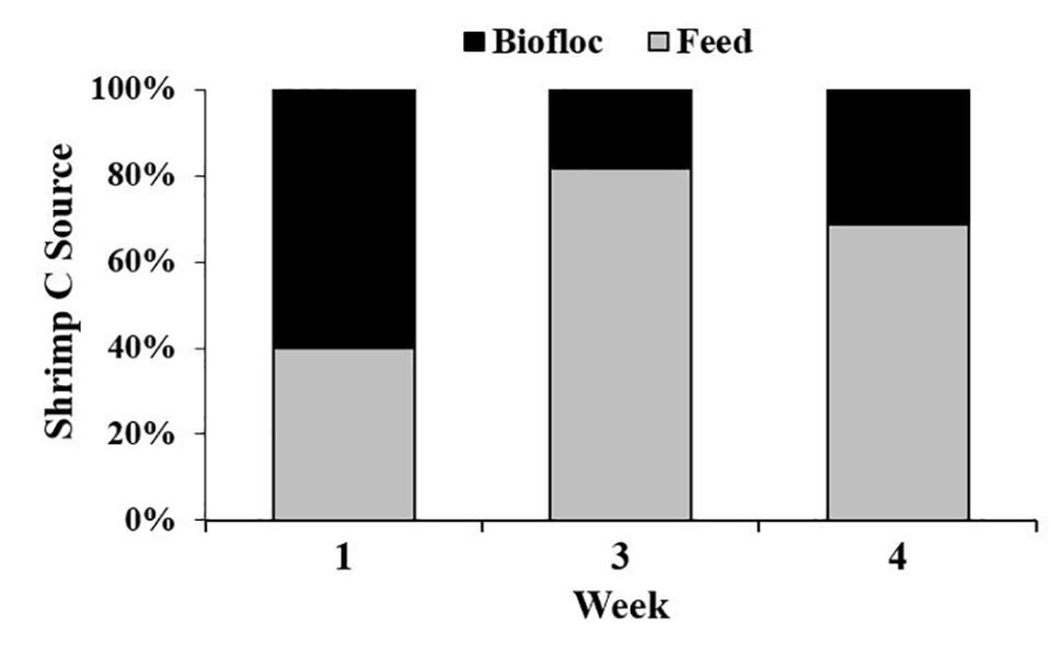 Fig. 2. The percent contribution of feed and biofloc to the carbon content of shrimp tissues according to a two-sample isotope mixing model.