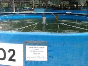The green water production tank.