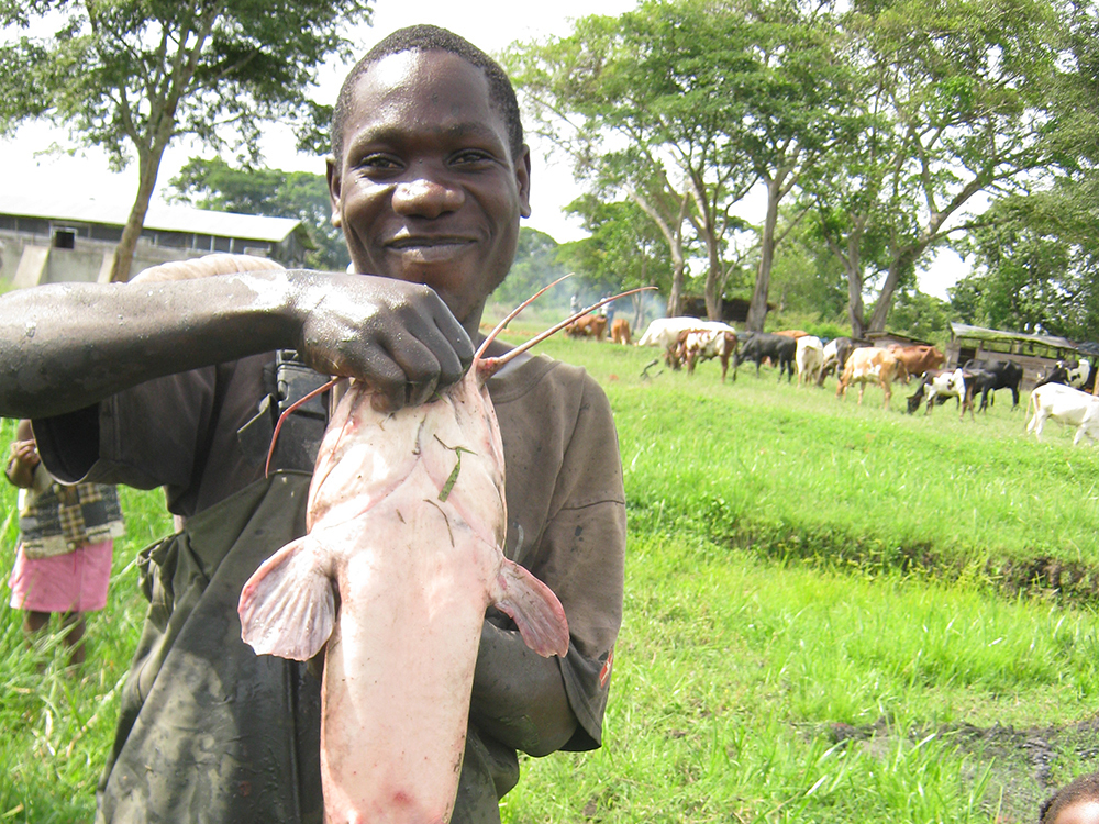 Article image for Investing in Africa’s aquaculture future, part 2