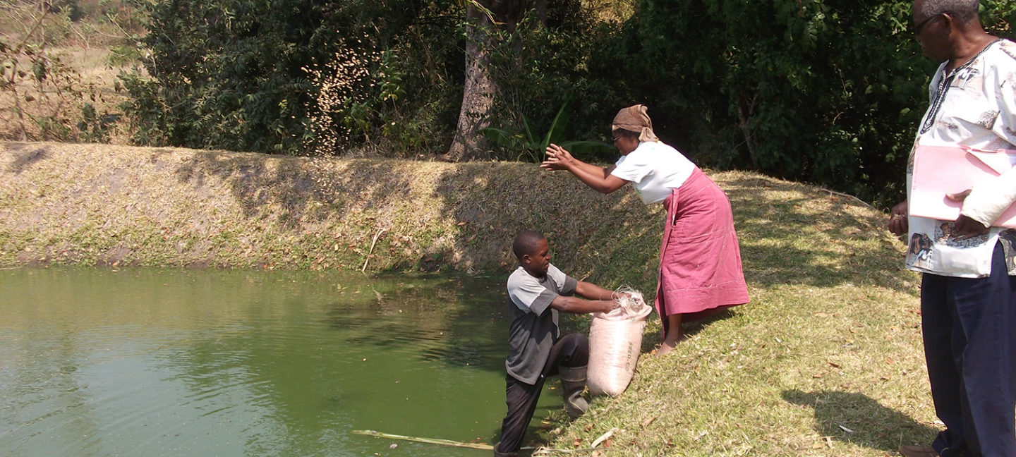 Africa aquaculture