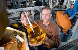 fish oil alternatives