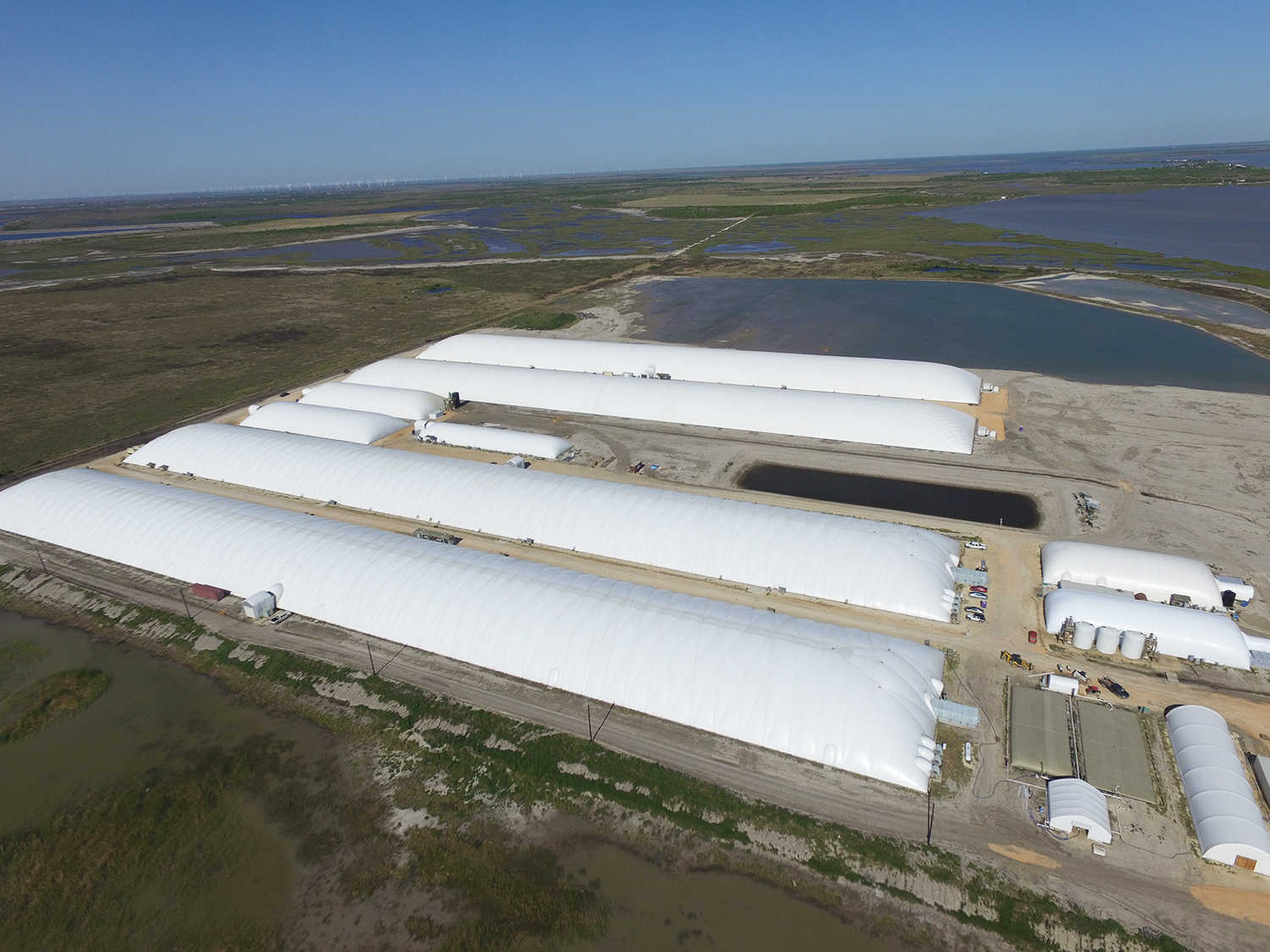 Stormborn The U.S. landbased shrimp farming industry Responsible