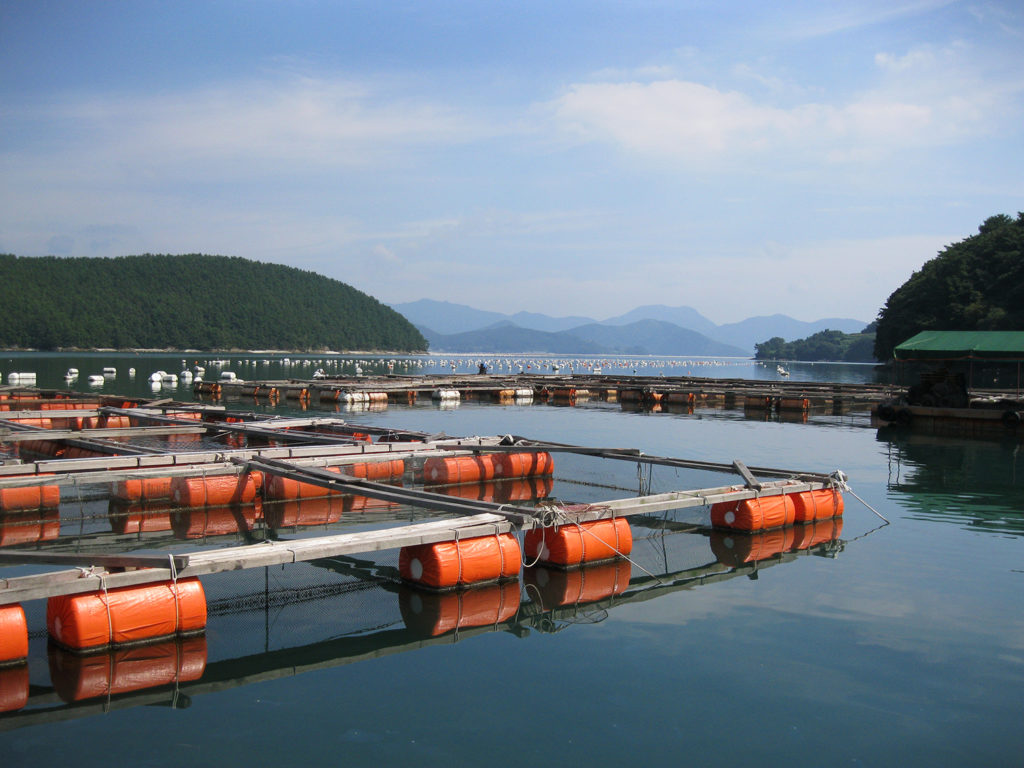 Article image for Study: Aquaculture ‘hot spots’ virtually untapped