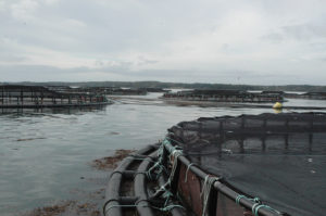 acuacultura prácticamente