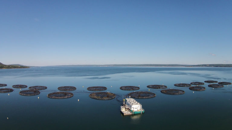 Article image for Warming oceans prompt adaptation efforts for aquaculture