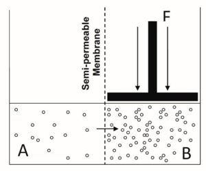 Fig. 2. Ilustración del concepto de presión osmótica.