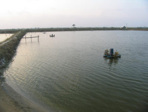 Conductividad eléctrica