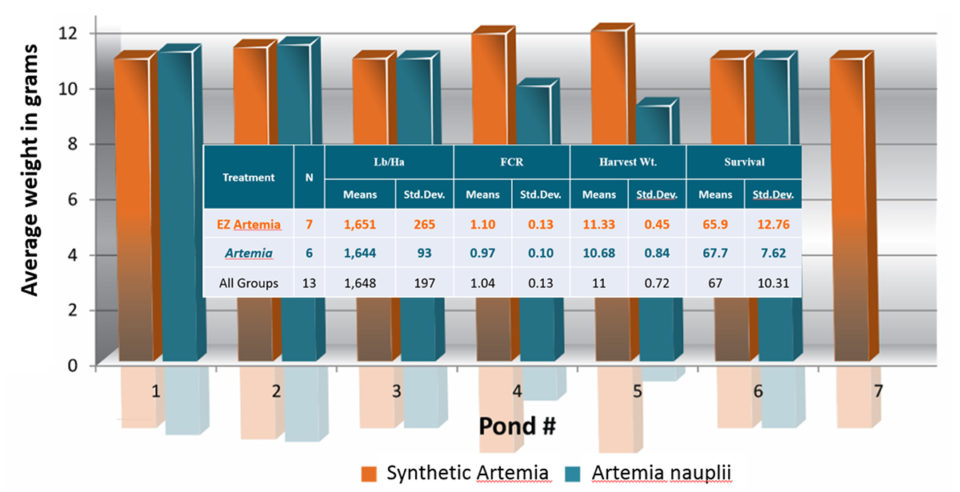 Fig. 2. Statistical analysis of the commercial pond results demonstrates equal performance from PLs produced using synthetic artemia vs. hatched artemia.