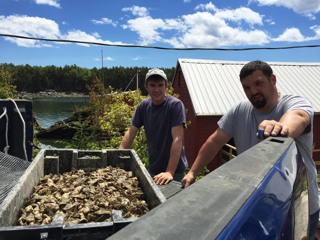 Article image for Repurposing Maine: Aging fishing facilities find new life with aquaculture