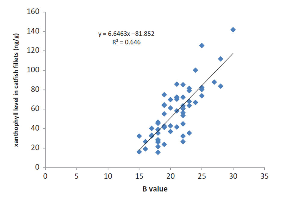 Fig. 2: Relationship determined between CIELAB b∗ values and xanthophyll levels in the catfish fillets studied.