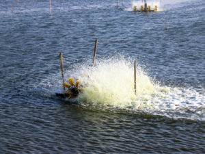 Pond aeration and aerators: Second thoughts