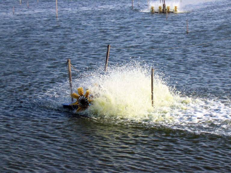 Article image for Pond aeration and aerators: Second thoughts