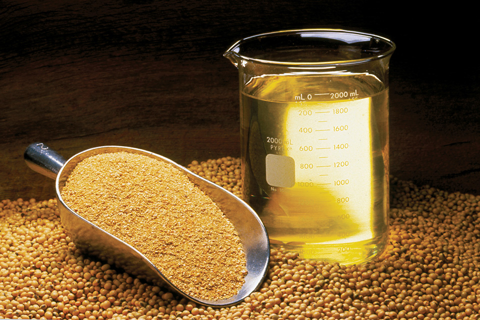 Article image for Soybeans: Truly sustainable feed ingredient? Part 2