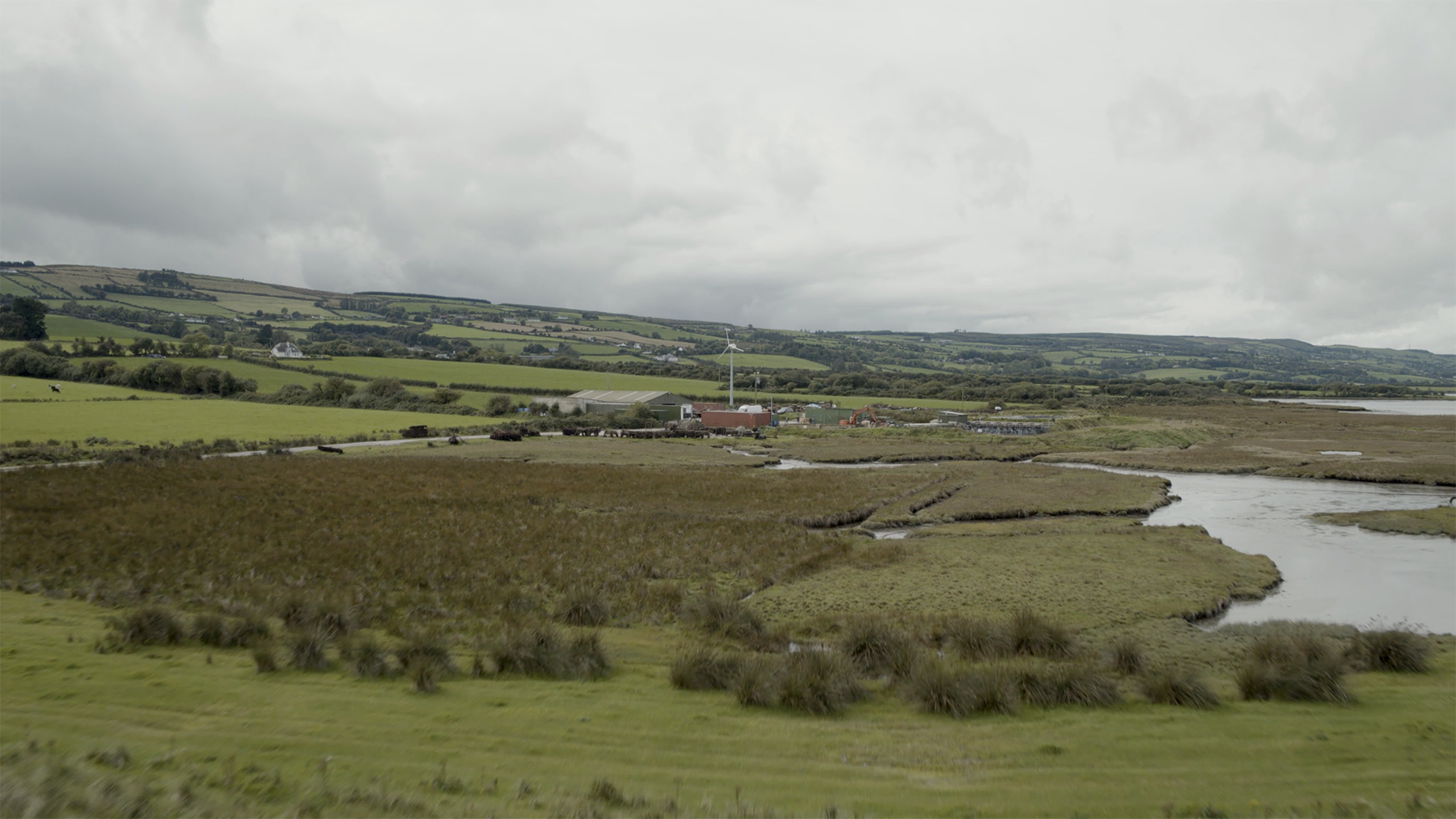 Hibernia and The Bay Global Seafood Alliance