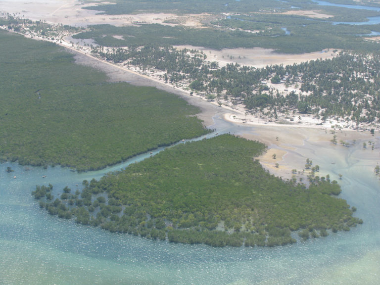 Article image for What is biodiversity and its relevance to aquaculture certification?