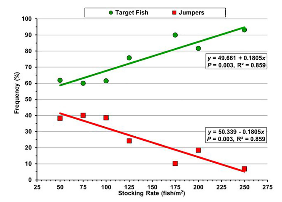Fig. 1: Proporción de la población de peces en la cosecha compuesta de peces del tamaño objetivo (&lt; 115 mm, línea verde) y talla de saltadores (&gt; 115 mm; línea roja) de juveniles de lubina sunshine sembrados a 50-250 peces por metro cuadrado en el sistema de producción de biofloc.